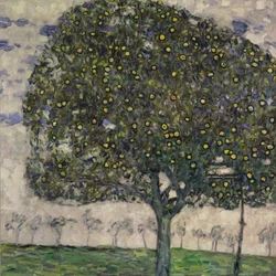 リンゴの木 II、1916年